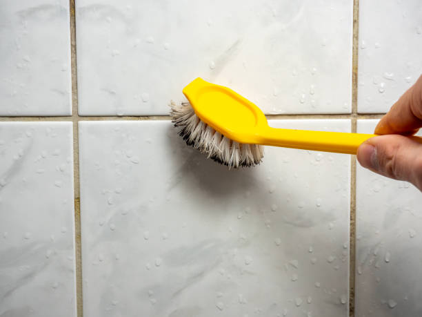 Best Same-Day Mold Removal  in Lisbon, ME
