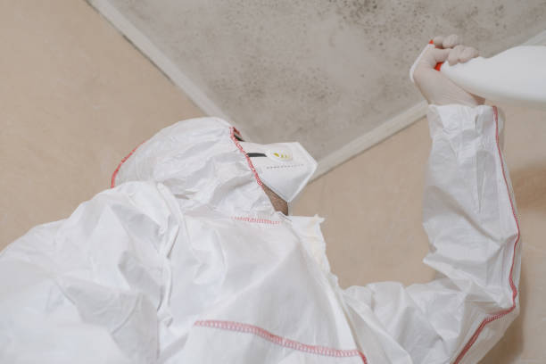 Best Black Mold Removal  in Lisbon, ME