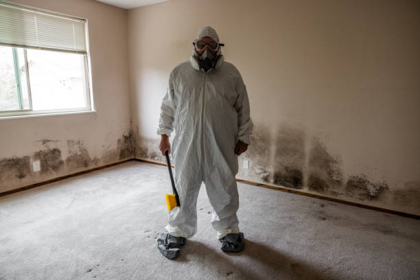 Best Mold Damage Repair  in Lisbon, ME