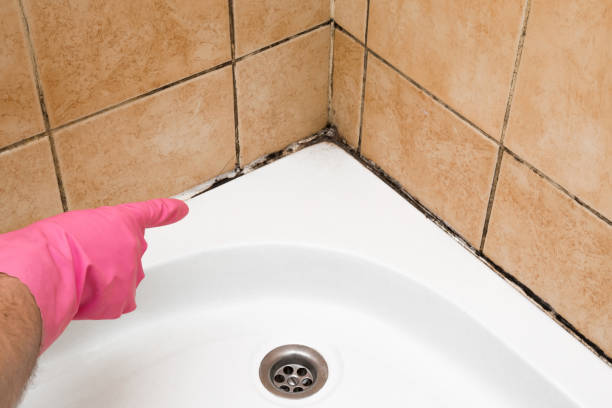 Best Affordable Mold Removal  in Lisbon, ME